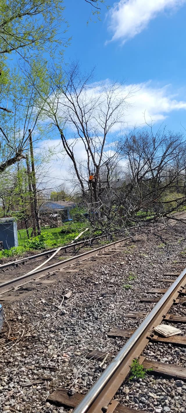 Une voie ferrée avec un arbre tombé dessus et un ciel bleu en arrière-plan.