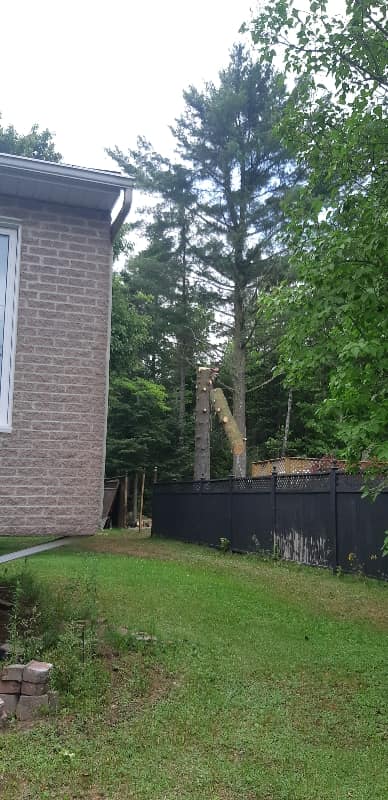 Une maison en brique avec un grand arbre devant.